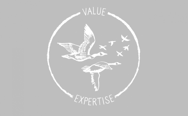 Value expertise