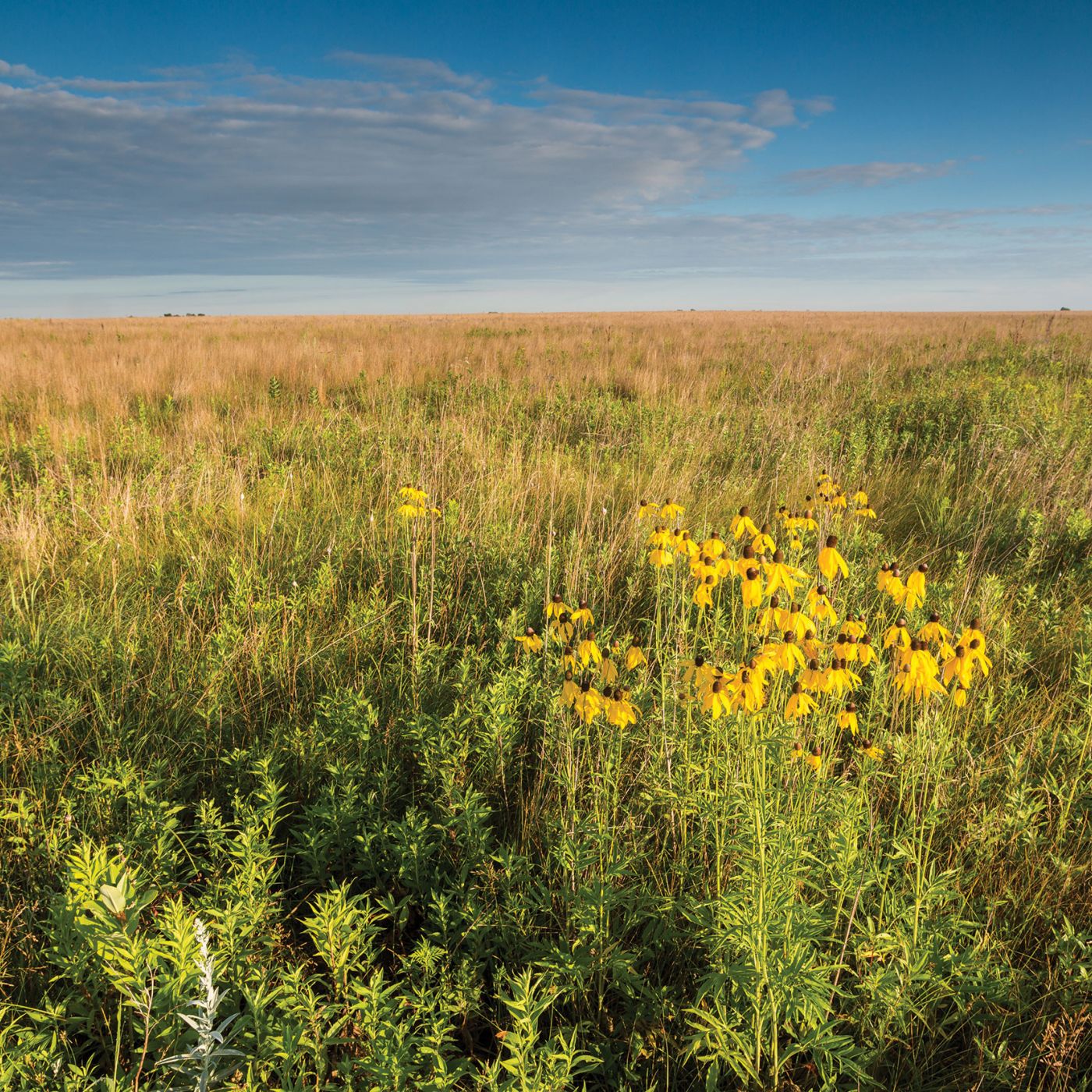 Glacial Ridge National Wildlife Refuge