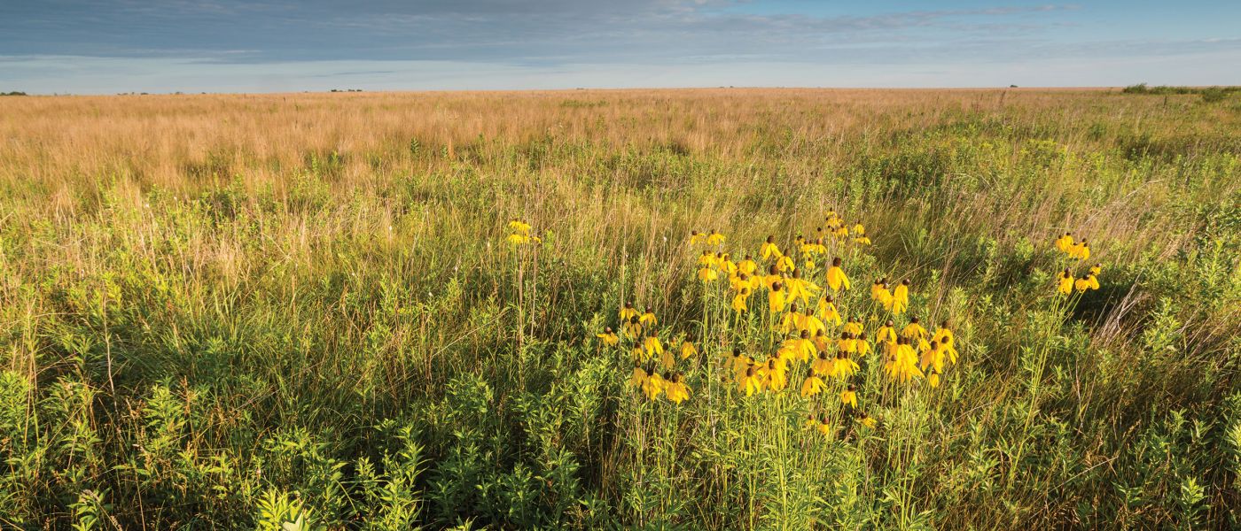 Glacial Ridge National Wildlife Refuge