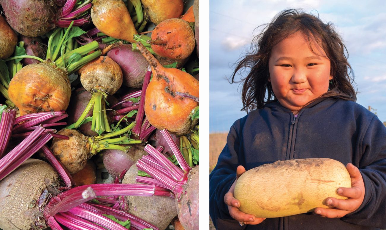 Beets/ Rosie holding squash