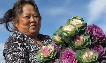 Xee Kale Flowers